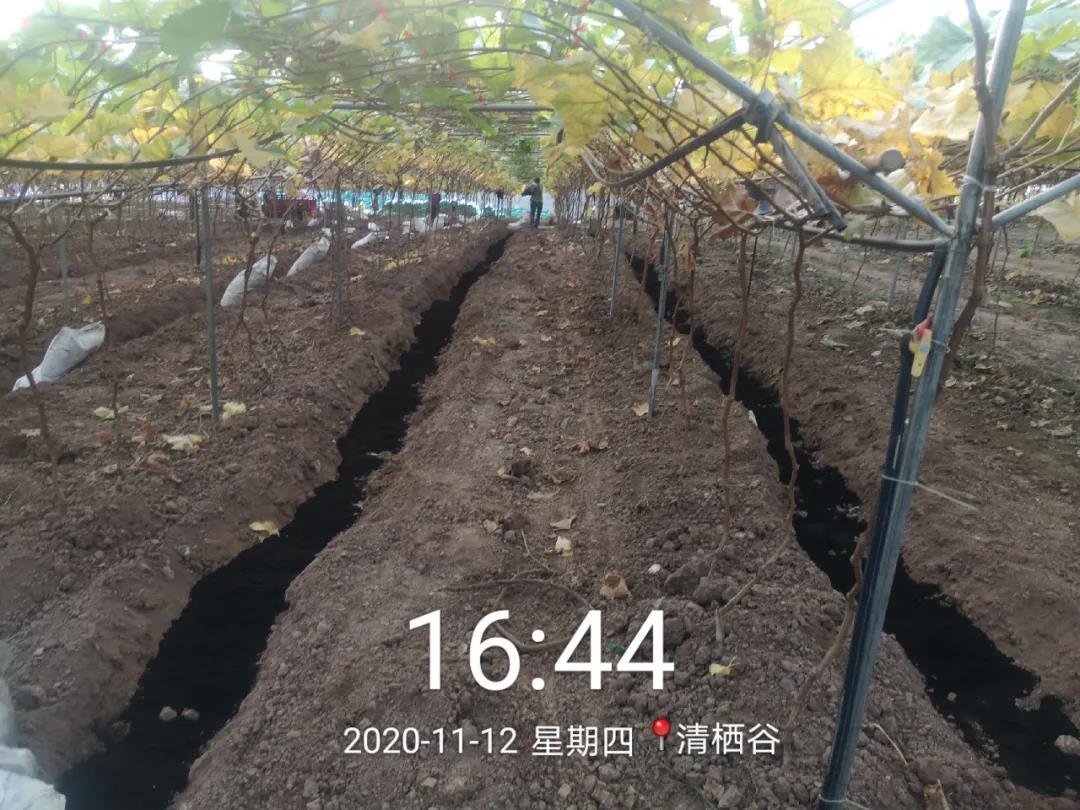 1622509506342188.jpg 4.jpg